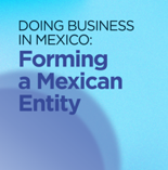 Software-Development-Forming-Mexican-Entity